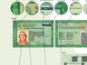 Nova carteira de identidade começa a ser emitida na próxima semana