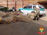 Polícia Militar Ambiental destrói mais de três mil metros de redes de pesca apreendidas