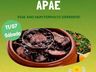 CAESP de Tunápolis e Santa Helena comercializa mil marmitas para a 8ª feijoada
