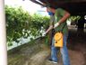 Saúde desenvolve ação de combate a carrapatos em São Miguel do Oeste