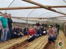 Projeto sobre o cultivo de alface é apresentado em propriedade rural de Mondaí