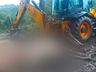 Raio mata oito vacas em propriedade no interior de Itapiranga