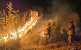Incêndios florestais causaram prejuízo de R$ 14,7 bilhões na agricultura, estima CNA