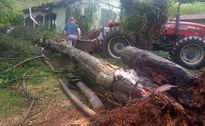Defesa Civil confirma microexplosão em Itapiranga; fenômeno causa mortes e destruição no Oeste