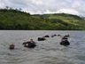 ESPECIALIZAÇÃO: Policiais militares concluem curso de Fronteiras em Chapecó