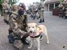 Polícia Militar de Itapiranga inaugura galeria de veteranos