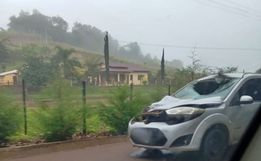 Colisão entre carro e cavalo deixa homem ferido no interior de Paraíso