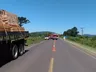 Carro sai de pista, bate em colmeia e pessoas são atacadas por abelhas