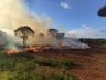 Incêndio atinge área de descarte de galhos no interior de Cunha Porã