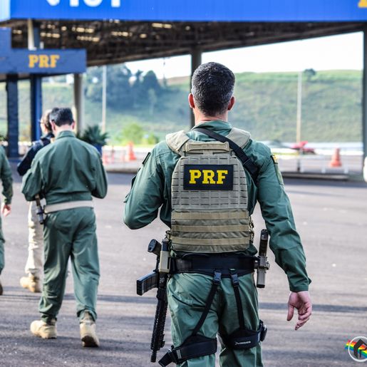 VÍDEO: Cães de faro da PRF de Guaraciaba passam por ambientação