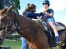 VÍDEO: Relação entre humanos e cavalos traz benefícios para o corpo e mente 