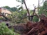 Vídeo: Comunidade se mobiliza para limpeza de estragos causados pelo temporal em Belmonte