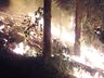 Incêndio volta atingir área de reflorestamento em São José do Cedro