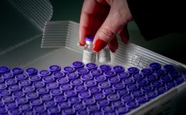 Estado de SC chega à marca de 7 milhões de doses registradas
