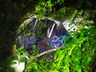 Motorista morre e passageiro fica gravemente ferido em saída de pista, em Palmitos