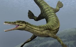 Fósseis de répteis que viveram antes dos dinossauros são descobertos em SC