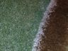 VÍDEO: Chuva de granizo atinge Campo Erê na noite deste sábado 