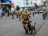 Desfile Militar tem público abaixo do esperado em São Miguel do Oeste