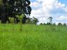 OUÇA: Peperi anuncia projeto para Parque Florestal na Linha Emboaba