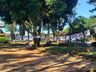 Biblioteca de Iporã do Oeste realiza exposição de fotos históricas na praça