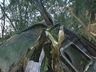 Acidente deixa duas pessoas feridas na SC-157