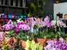 Central Flor, Floricultura e Paisagismo inaugura em São Miguel do Oeste