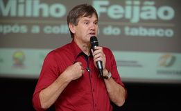 Cotação do dólar gera maior competividade do leite produzido no Brasil 