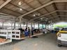 Animais da Mercoleite começam a chegar no parque de exposições