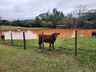 Rio Uruguai estabiliza acima de 9m, mantém pontes interditadas e balsa parada