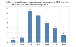 GRÁFICOS: Confira detalhes sobre os casos de COVID-19 em SMO