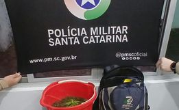 PM apreende 2 kg de maconha em operação na BR-163, em São José do Cedro