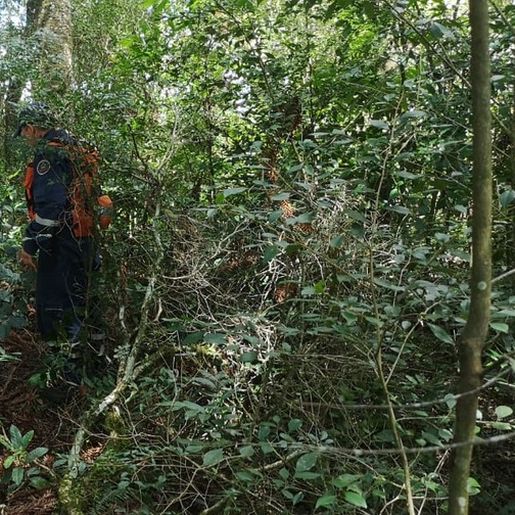 Adolescente de 14 anos é encontrada morta amarrada em árvore