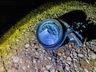 Jovem morre após colisão na BR-163 em Guaraciaba