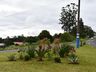Mais de 3 mil mudas de flores estão sendo plantadas nos espaços públicos em Guaraciaba 