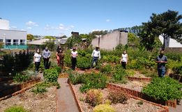 Profissionais identificam plantas do horto medicinal de São Miguel do Oeste