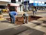 Empresa realiza reparos na Avenida Gustavo Fetter, em Iporã do Oeste