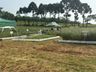 Cedup Campo Erê realiza tradicional Dia de Campo 