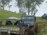 Tigres Off Road reuniu cerca de 200 jeeps em trilha no final de semana
