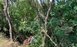 Caminhão tem problemas mecânicos, sai da pista e cai em ribanceira na BR-282