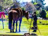 SMO: Grupo de Cavalarianos promove o 6º Acampamento Farrapo