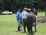 Primeiro encontro Cavalo Marchador reúne mais de 1000 pessoas 