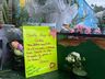 Homenagens em creche alvo de ataque em SC continuam nesta sexta-feira