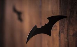 Vereadora propõe a criação do Dia do Batman em Florianópolis