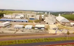 Cooperativas de SC faturam R$ 82,83 bilhões e planejam investir R$ 4 bilhões