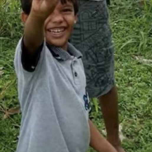 Criança morre após sofrer ataque de onça-pintada no Pará