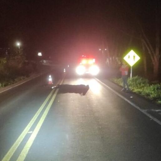 Homem morre atropelado por caminhão em rodovia no Oeste de SC
