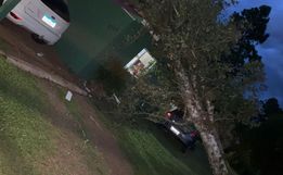 Bombeiros removem árvore que caiu sobre casa em São Miguel do Oeste  