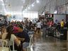 Nem a chuva impediu a Faismo 2022 de ser a melhor feira que São Miguel do Oeste já teve