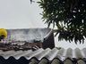 Idoso elimina vespas e causa princípio de incêndio em residência na linha Cristo Rei