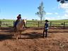 VÍDEO: Relação entre humanos e cavalos traz benefícios para o corpo e mente 